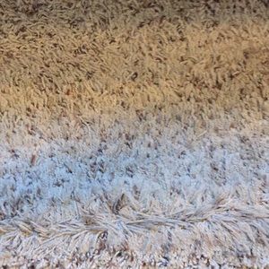 Black pants for Jennifer